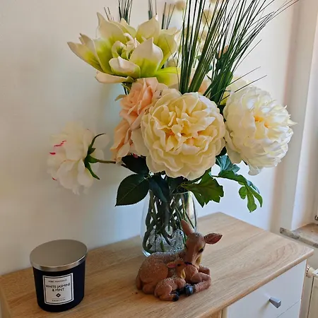 ホームステイ Soba Amaris Bianco